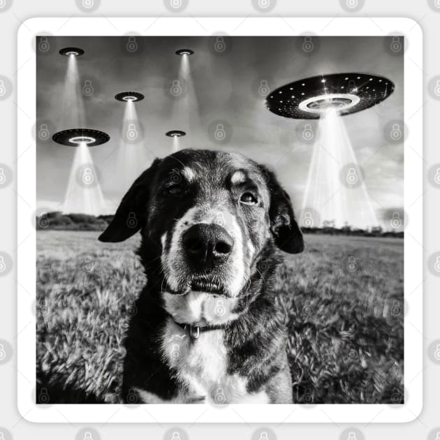 Dog Selfie With Aliens UFO Sticker by Megadorim